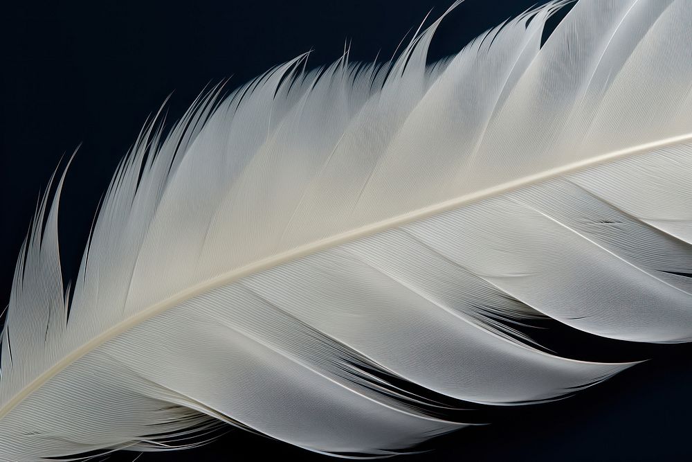 Feather pattern transportation lightweight.