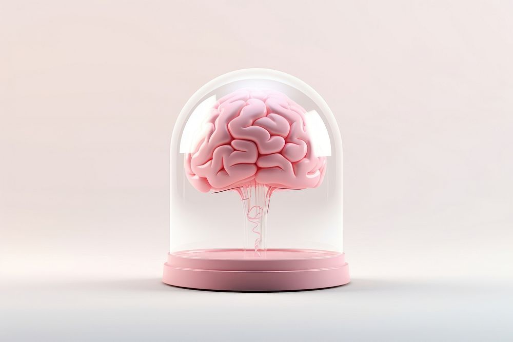 Brain transparent food confectionery.