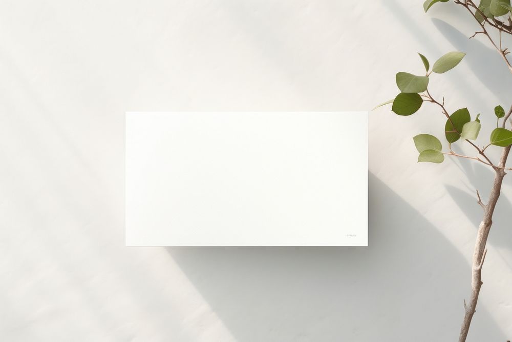 Business card plant white paper.