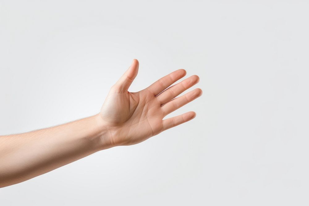 Hand that is placed finger adult human.