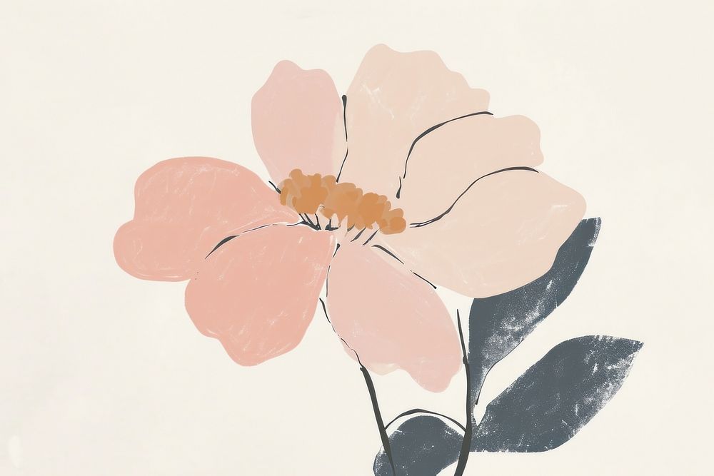 Cute chinese flower illustration painting blossom anemone.