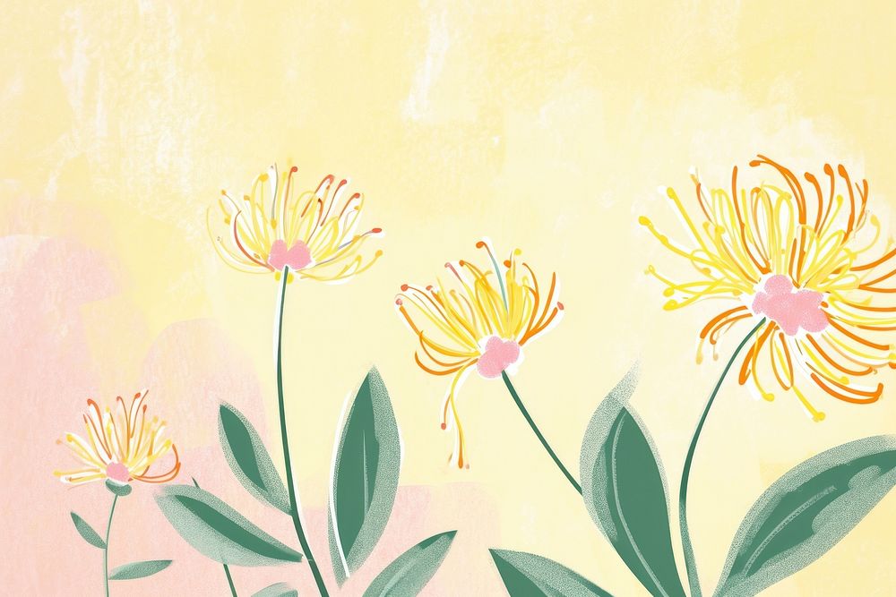 Cute chinese flower illustration asteraceae graphics painting.
