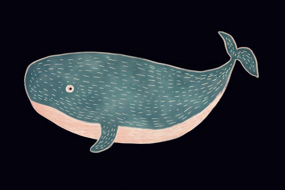 Chalk style whale animal mammal fish.