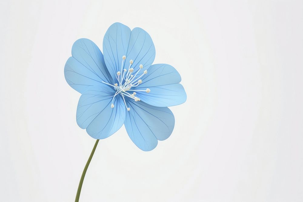Blue flower blossom petal plant.
