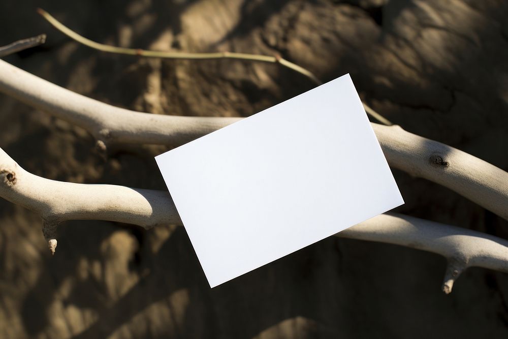 Business card on a branch paper white outdoors.