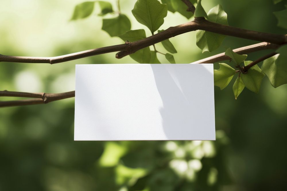 Business card on a branch outdoors nature plant.