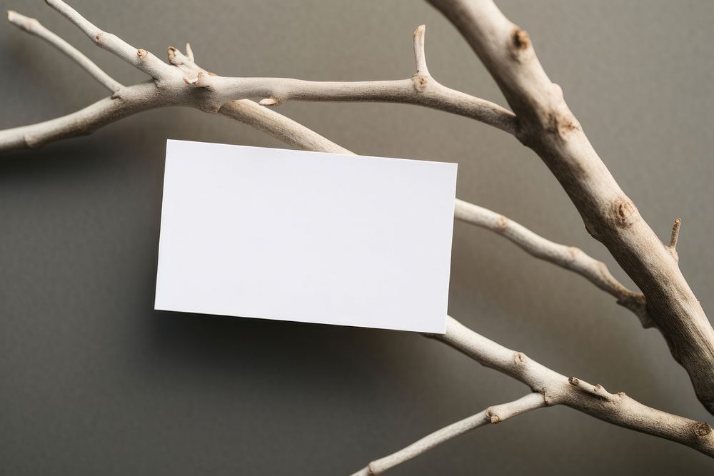 Business card on a branch paper decoration driftwood.