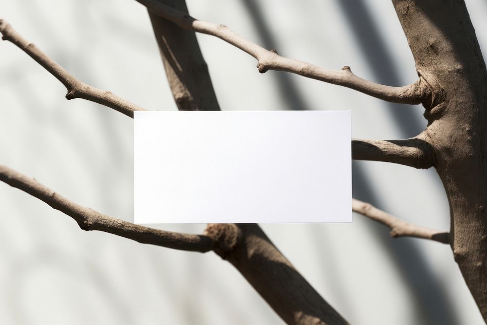 Business card on a branch plant white paper.