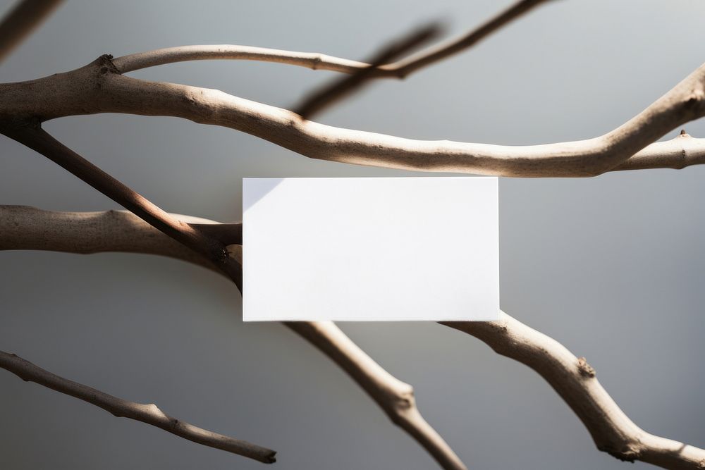 Business card on a branch driftwood white absence.