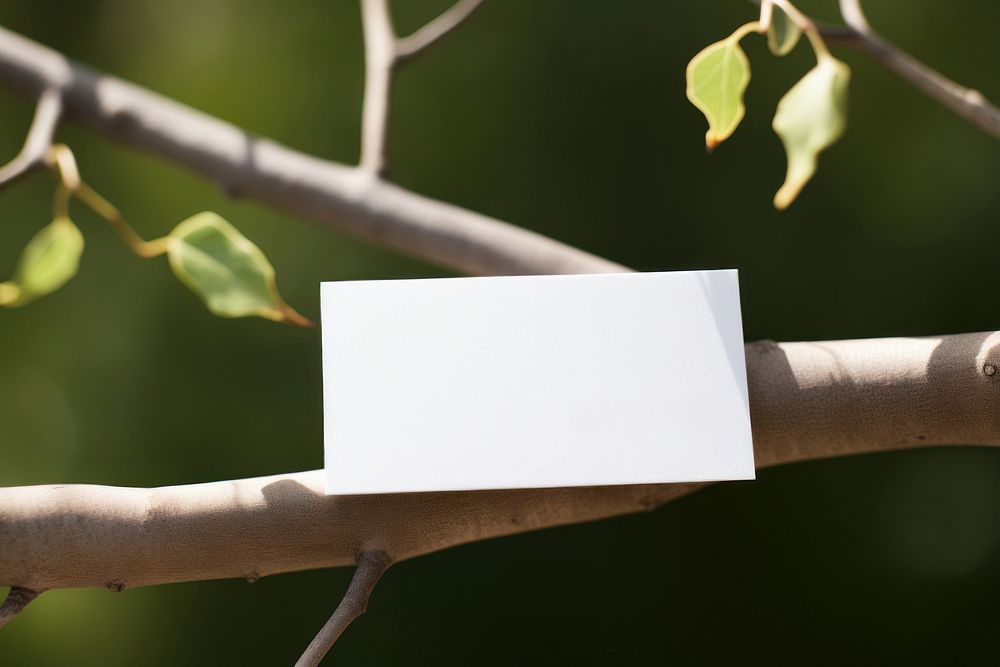Business card on a branch plant white paper.