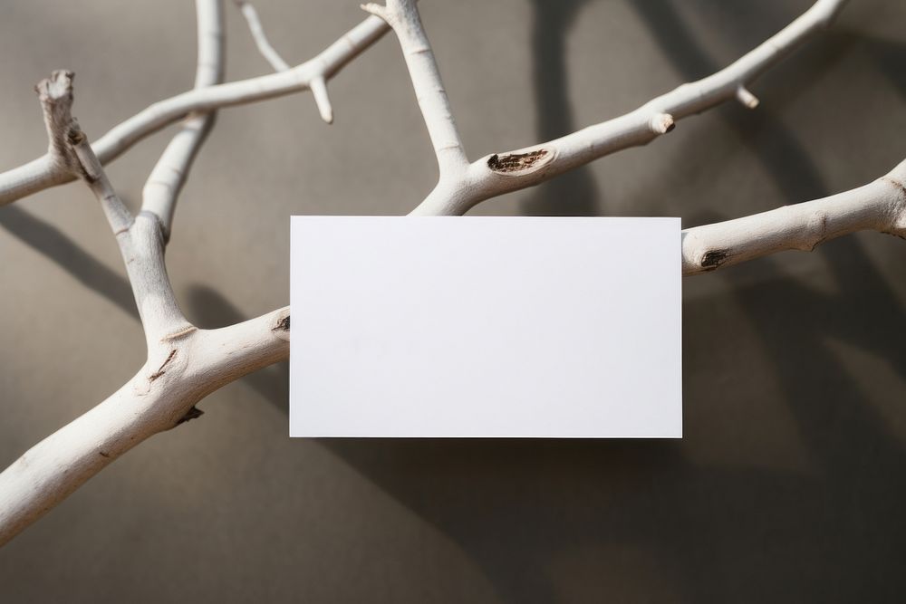 Business card on a branch paper white wood.