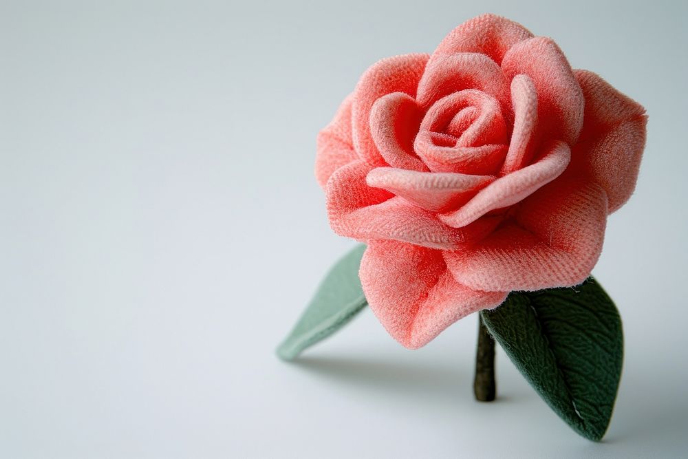 Stuffed doll rose flower plant inflorescence accessories.