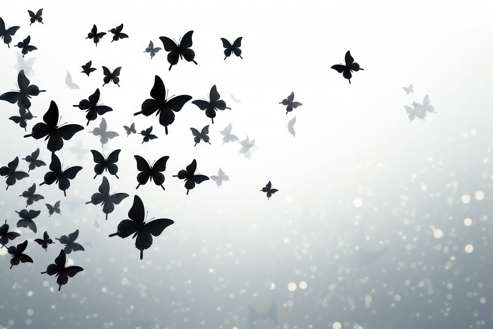 Butterfly swarm silhouette background outdoors animal nature.