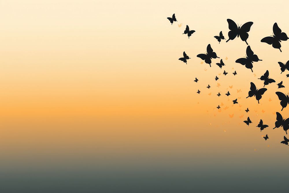 Butterfly swarm silhouette background backgrounds outdoors animal.