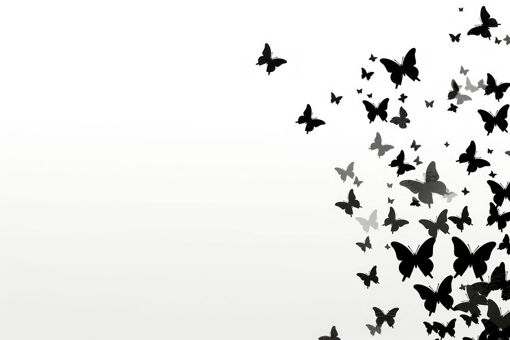 Butterfly swarm silhouette background backgrounds wildlife animal.