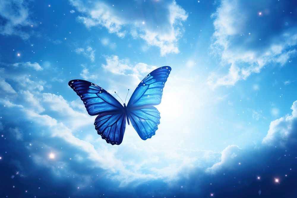 Blue butterfly background sky outdoors animal.
