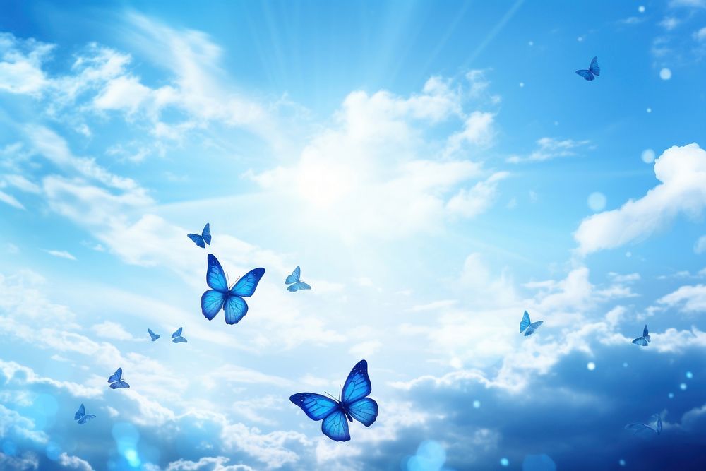 Blue butterfly background sky backgrounds sunlight.
