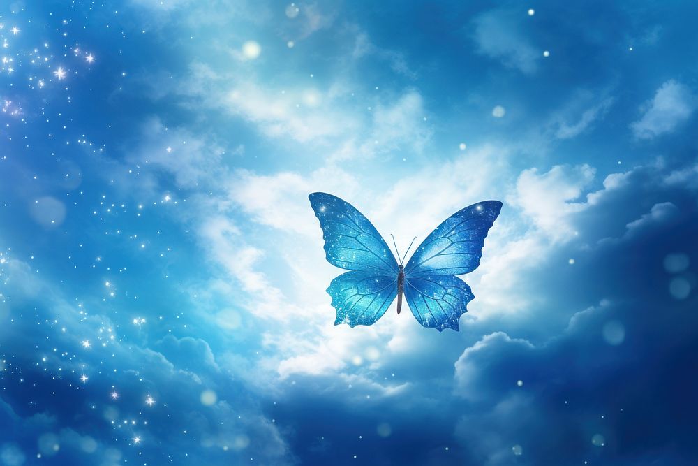 Blue butterfly background blue sky outdoors.