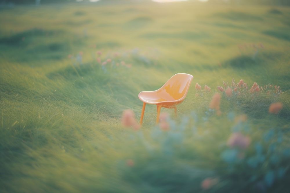  Top view of A simple chair placed in the middle of a grassy field background outdoors nature plant. 