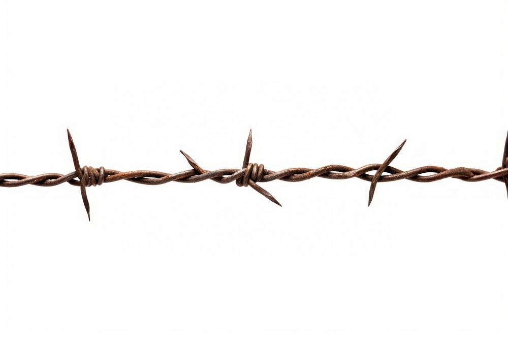 Barbed wire white background forbidden weaponry.