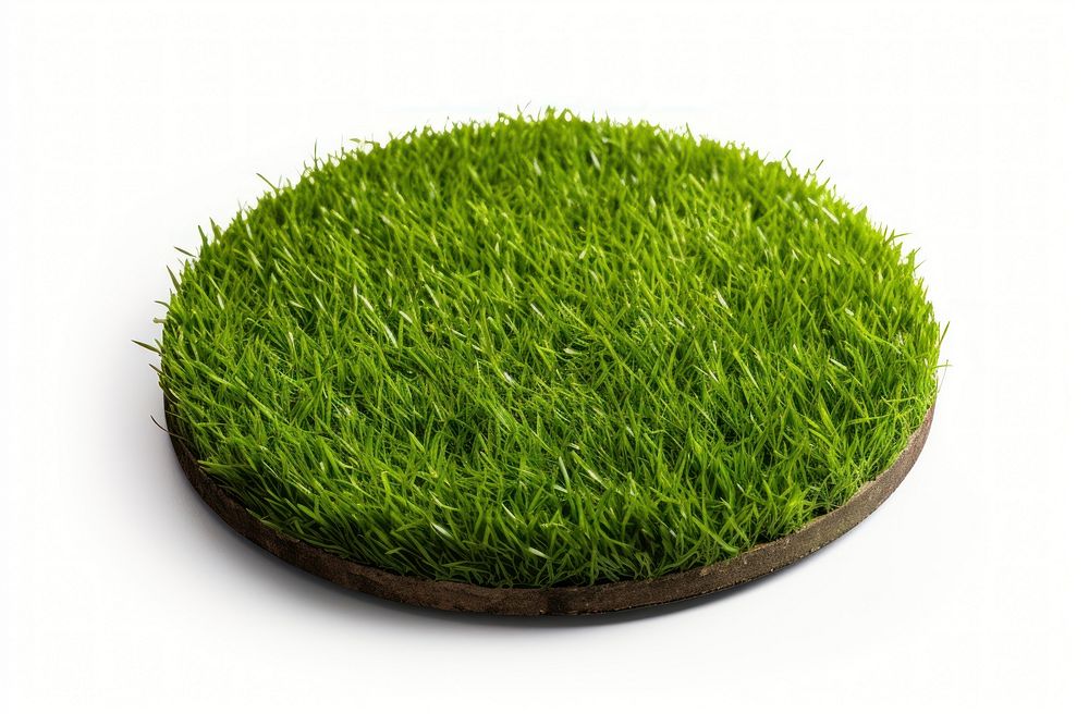 Flat round surface grass plant green. AI generated Image by rawpixel.
