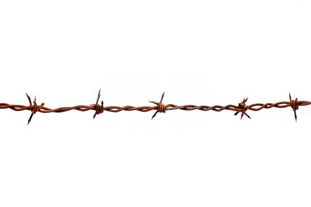 Rusty barbed wire white background forbidden fence.