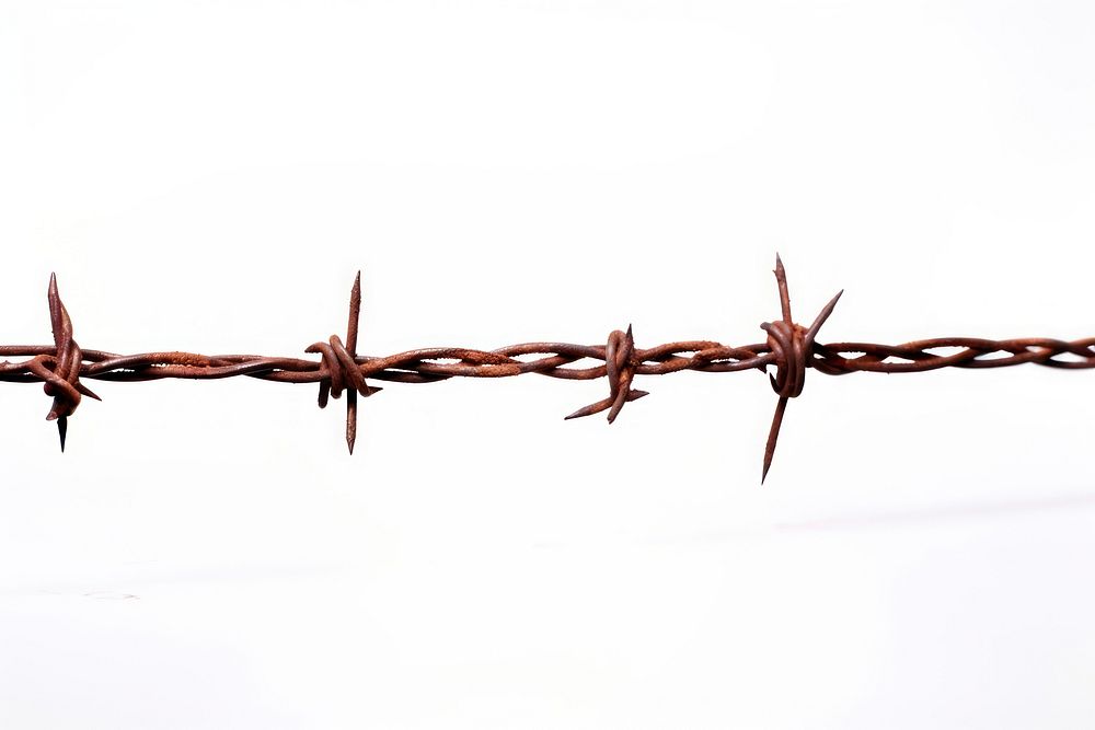 Rusty barbed wire white background forbidden corrosion.