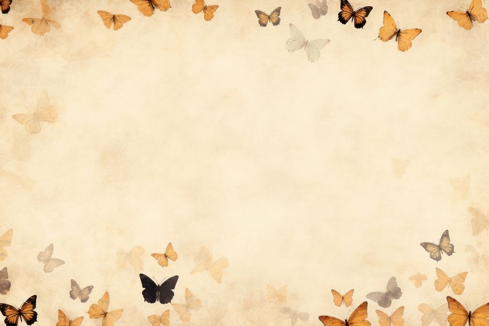 Pressed butterfly background backgrounds abstract paper.