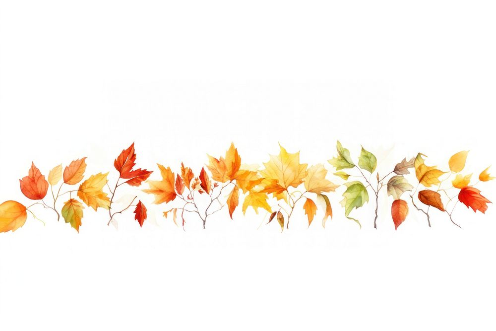 Autumn leaves and coffee plant leaf white background.