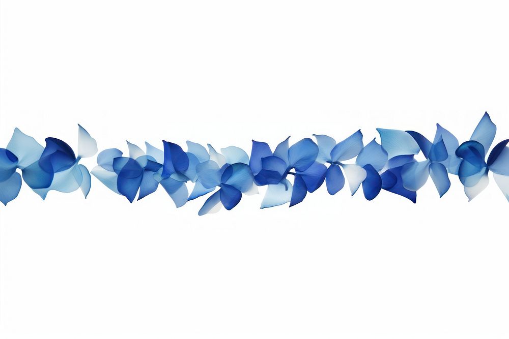 Blue flower petals backgrounds white background accessories.
