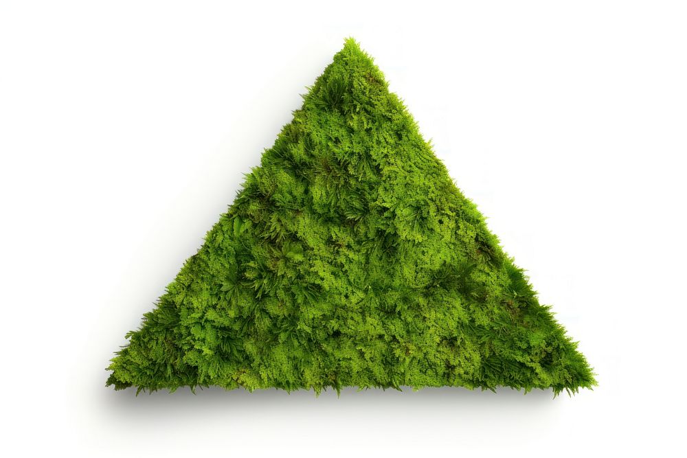 Triangle moss plant green. AI generated Image by rawpixel.