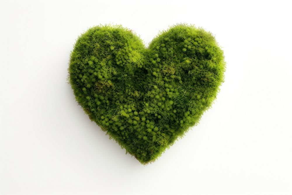 Heart plant moss white background. AI generated Image by rawpixel.