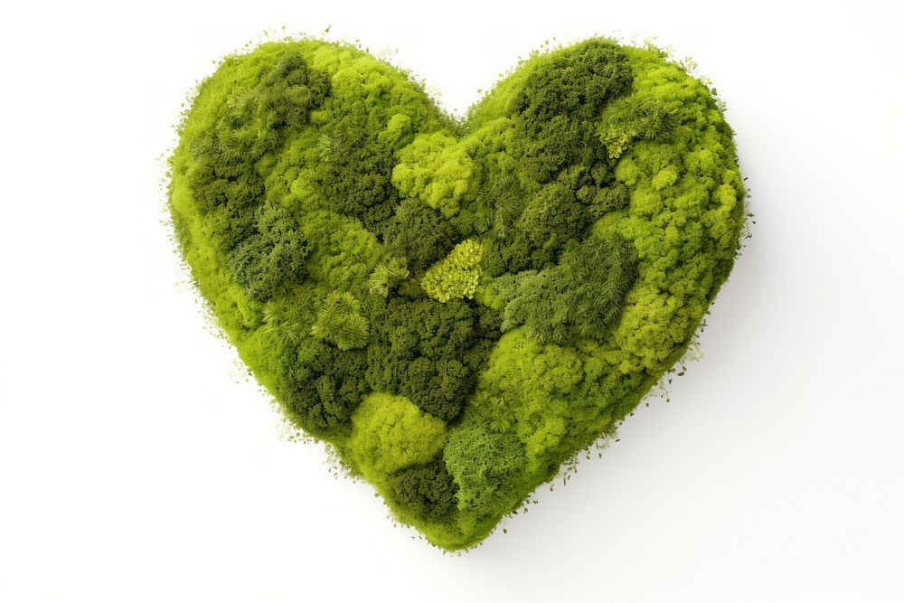 Heart moss plant white background. AI generated Image by rawpixel.