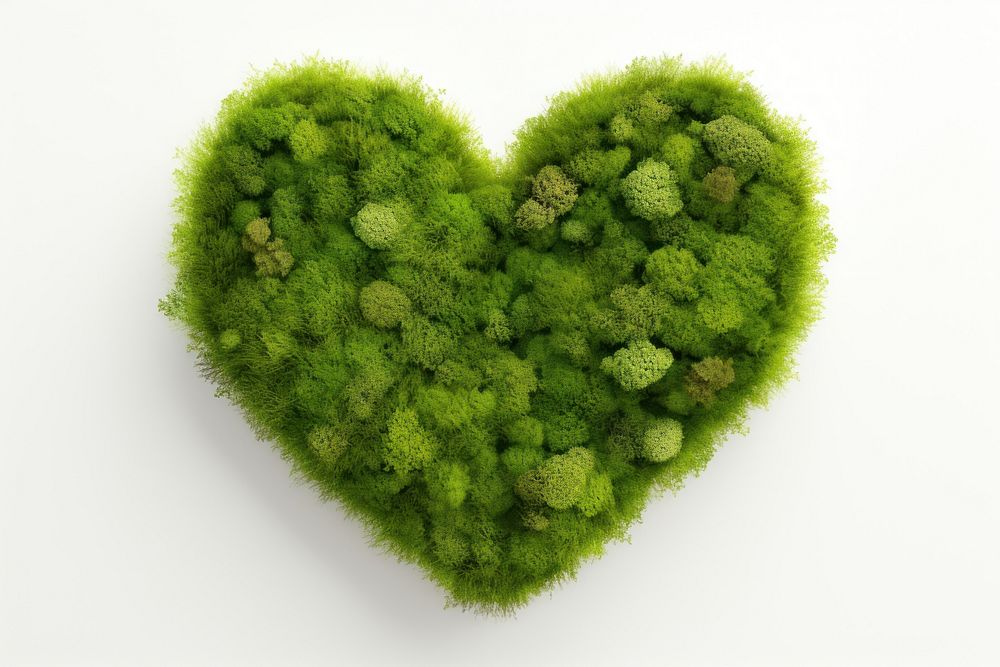 Heart nature plant tree. AI generated Image by rawpixel.