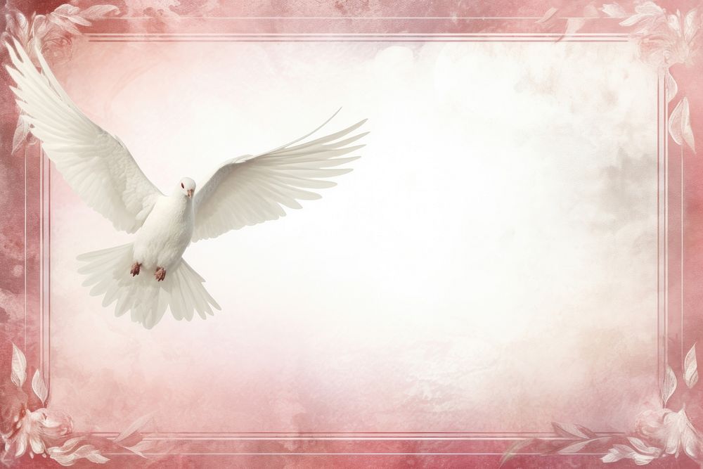 Dove white bird mid-air. AI generated Image by rawpixel.