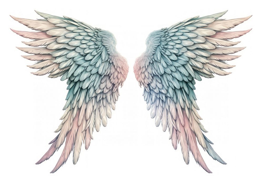 Wings angel white background illustrated. AI generated Image by rawpixel.