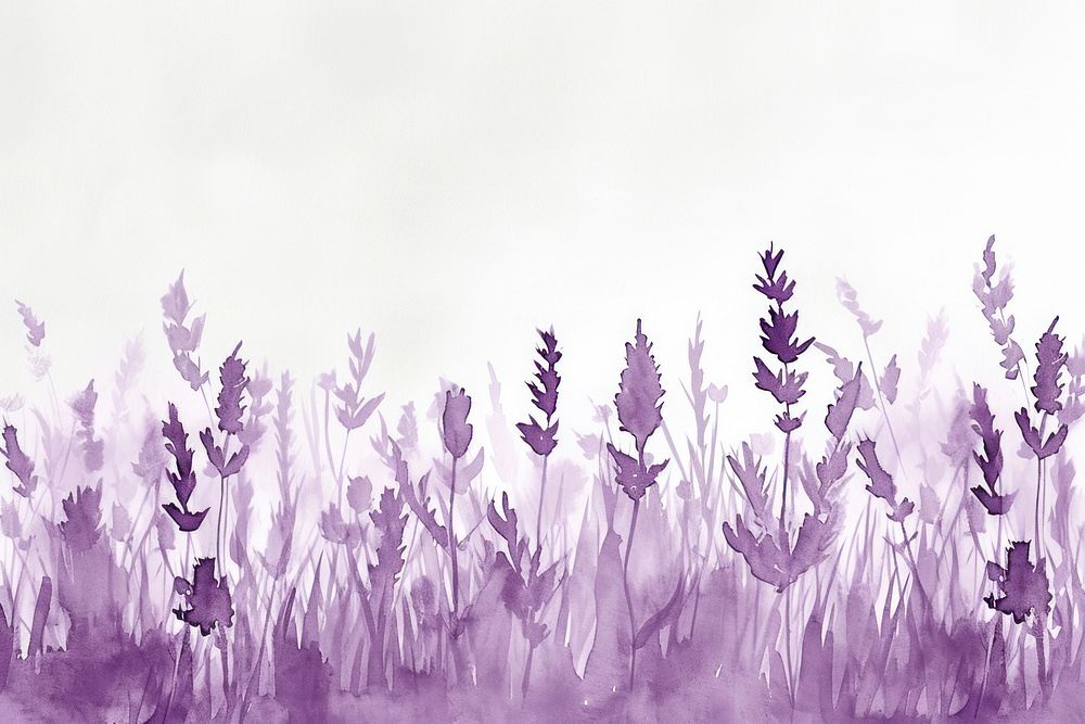 Meadow purple lavender flower.