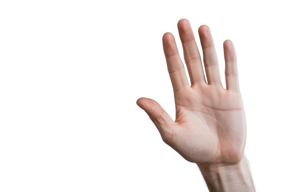 Hand palm finger white background gesturing. AI generated Image by rawpixel.