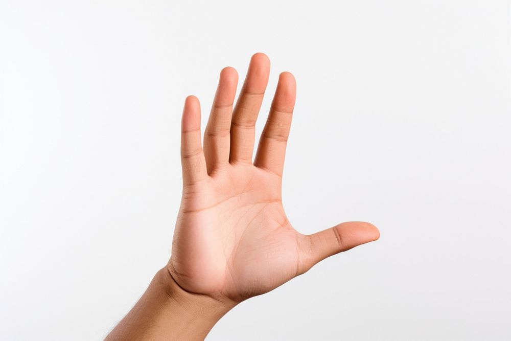 Hand finger palm white background. AI generated Image by rawpixel.