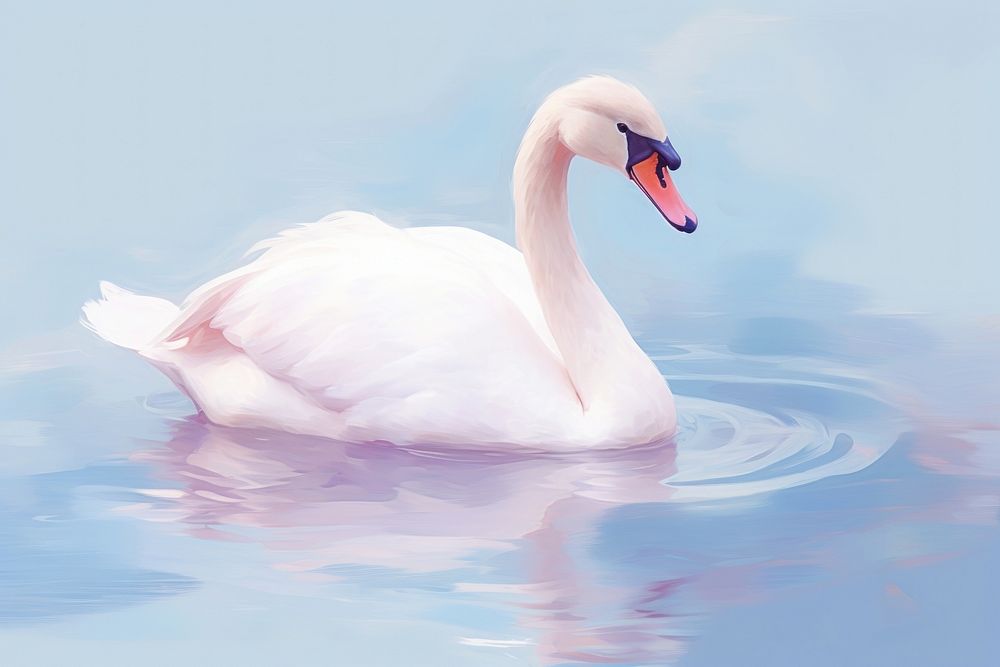 PNG Swan animal bird reflection. AI generated Image by rawpixel.