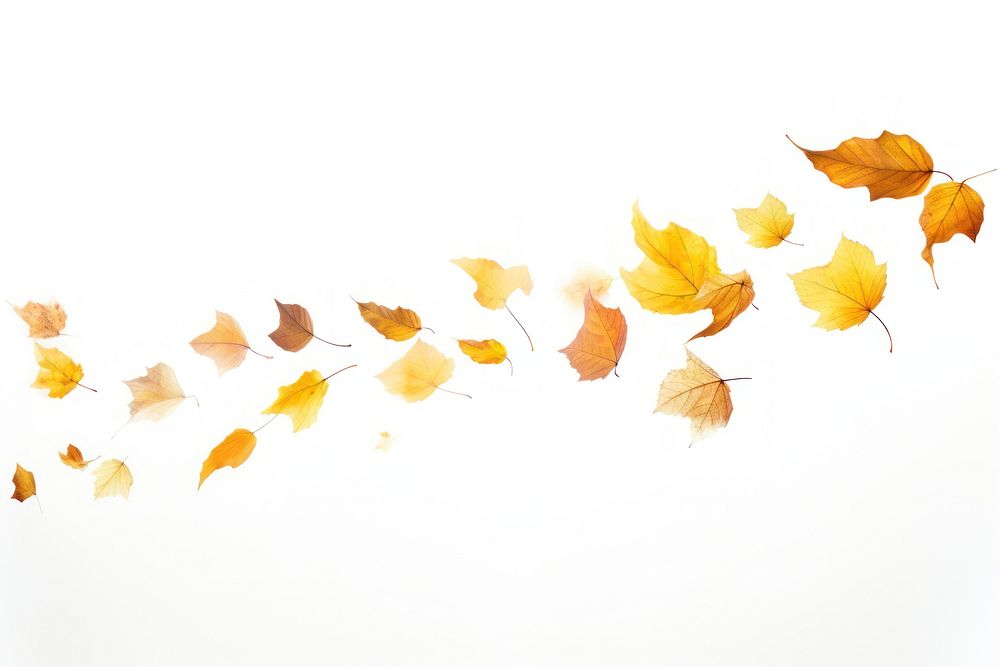 Autumn leaves backgrounds falling plant. AI generated Image by rawpixel.