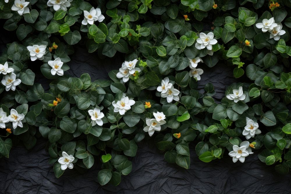 PNG Flowers on leaves wall backgrounds outdoors nature. AI generated Image by rawpixel.