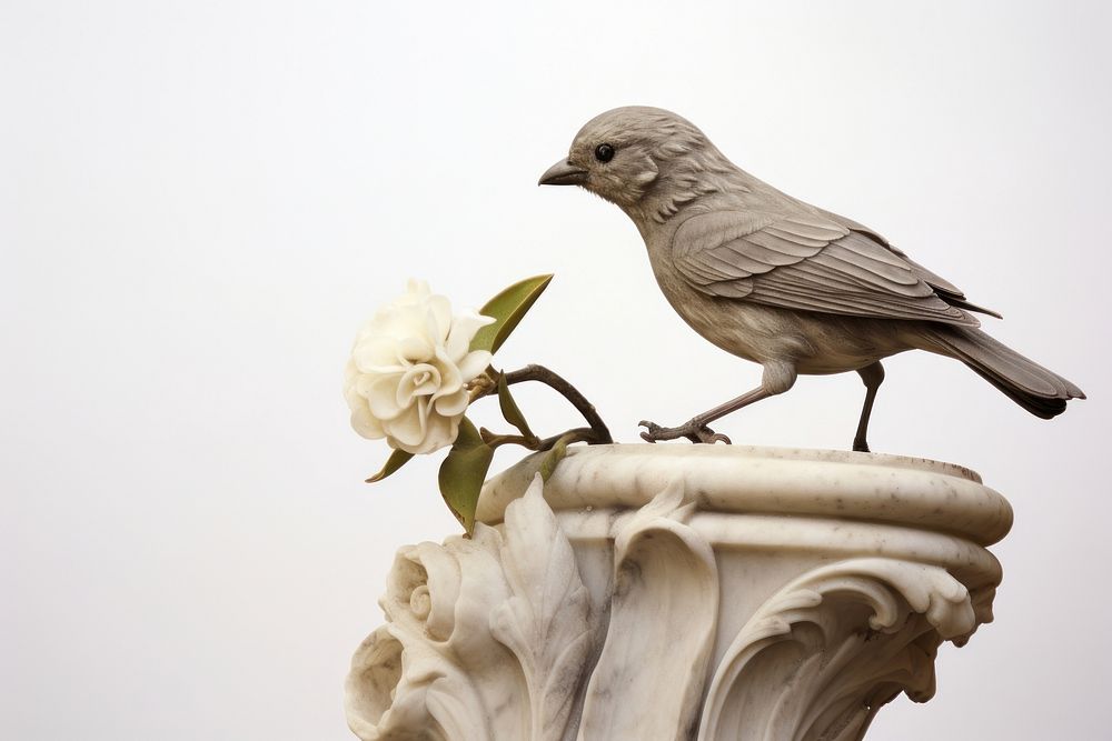 Bird sculpture animal statue.