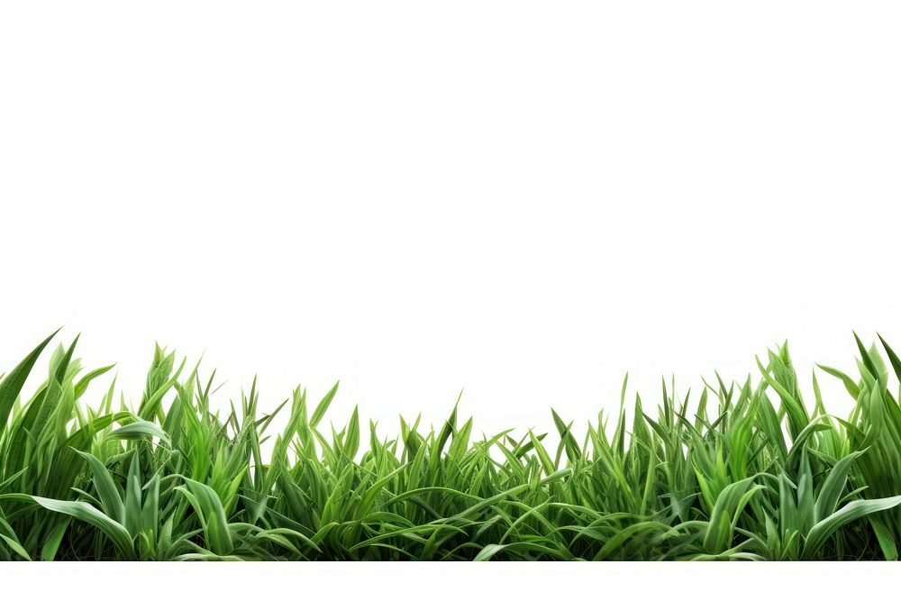 Green field border backgrounds outdoors nature. AI generated Image by rawpixel.