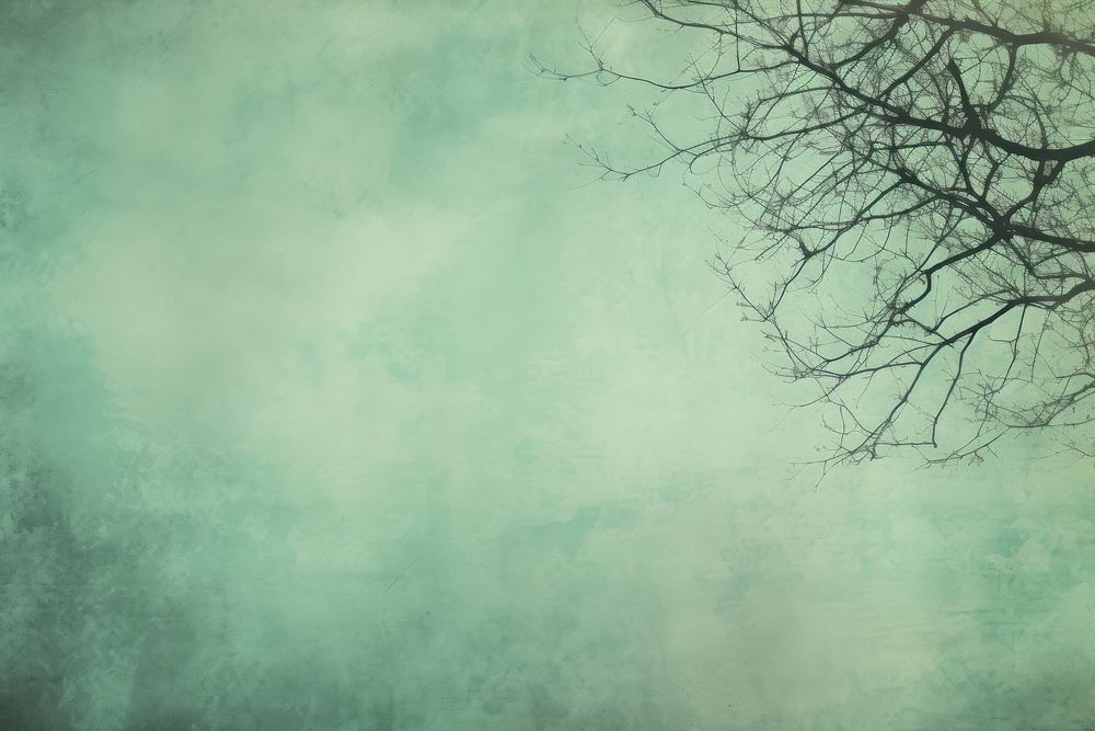 Tree backgrounds outdoors texture. AI generated Image by rawpixel.
