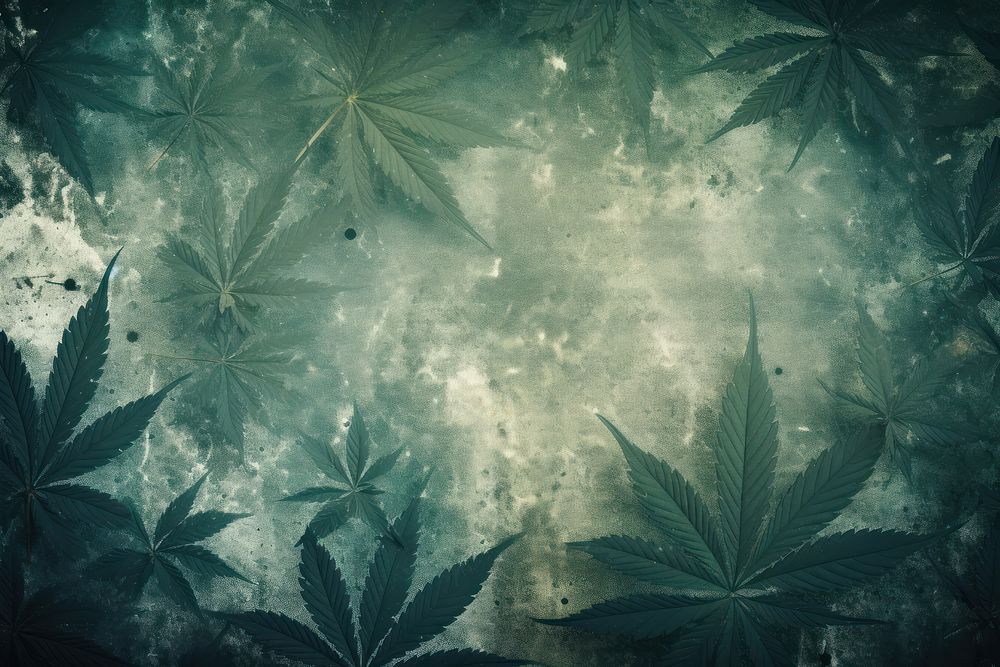 Cannabis leaves backgrounds nature plant. AI generated Image by rawpixel.
