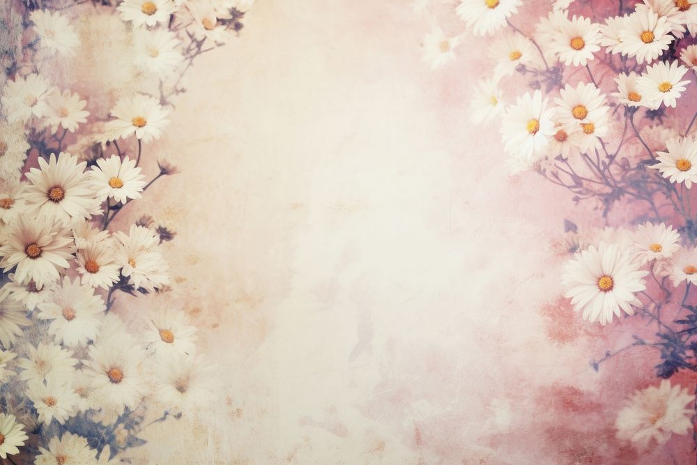 Daisy flowers backgrounds nature petal. AI generated Image by rawpixel.
