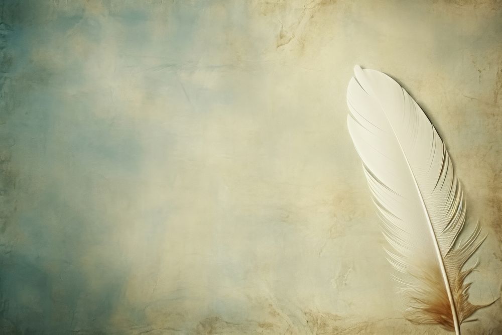 Feather backgrounds texture lightweight. AI generated Image by rawpixel.