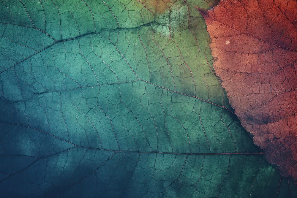 Leaf backgrounds outdoors texture. AI generated Image by rawpixel.