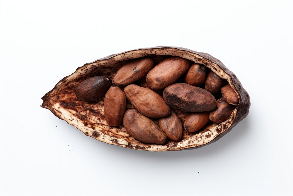 Half of cocoa seed vegetable plant food. AI generated Image by rawpixel.